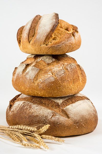 Panadería Hermanos Noguero pan integral